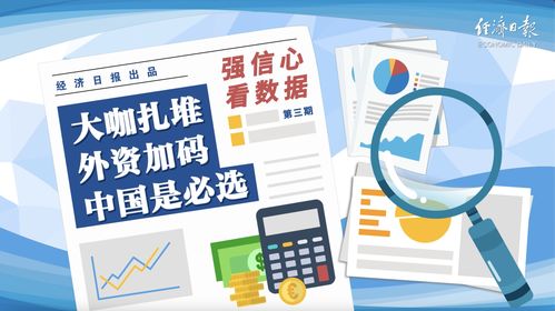 BiBi：华人项目的破局者与香港数字金融中心的新引擎