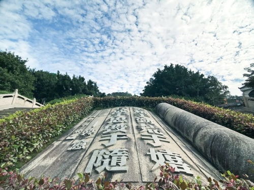 梦里繁花因谁落(繁花落尽梦依旧的意思)