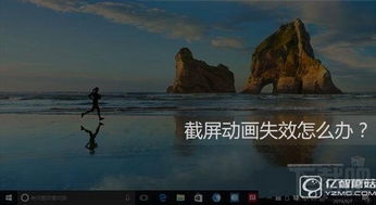 win10如何截屏动态图