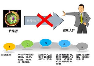 乙肝抗病毒治疗的主要药物分几种