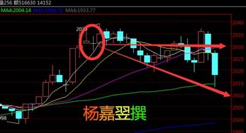 平仓，建仓，斩仓，反弹，套牢，洗盘是什么意思