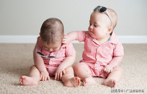 双胞胎宝宝起名用词语,适合双胞胎男孩起名的成语