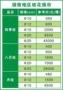 桂花树苗市场价格（桂花树苗市场价格走势）-图5