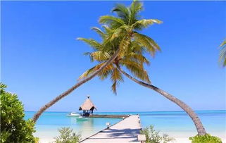 马尔代夫星宇岛旅游攻略探索热带天堂的最佳选择（马尔代夫星月岛的简介）