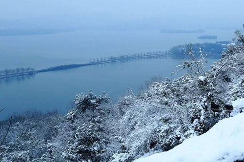 下雪后的杭州西湖,真的美哭了