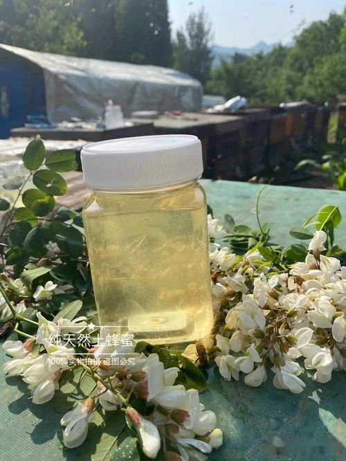 洋槐蜜,中国四大名蜜之首 我国出口级别最高的蜂蜜