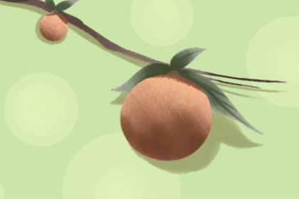梦见在树上摘桃子吃是什么预兆