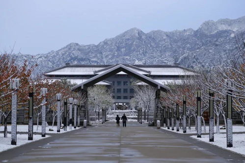 在小编看来,在西建大学习绘画专业还有地理优势的加成。话说,西安是什么地方,是天子下榻的风水宝地,也是十三朝古都。在西安有无数文化古迹和文物遗产,这对于绘画专业的学子,无疑提供极大的舞台去施展才华和锻炼个人。