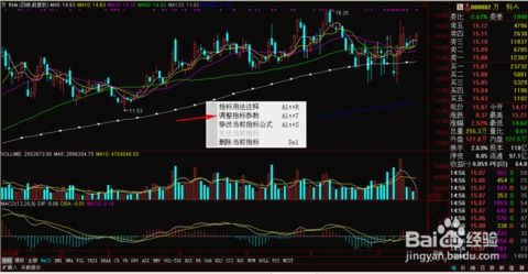 通达信中，如何在不同股票里设置不同均线参数，并保留。