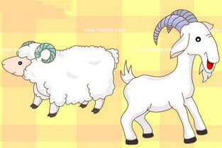 属羊的和什么属相最配 生肖羊最配的生肖有哪些