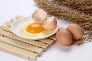 夏天鸡蛋能放多久 夏天鸡蛋怎么保存不会坏