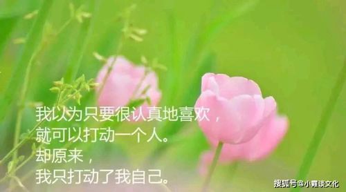 青年励志抒情背景音乐  花叶有关的音乐高三励志？