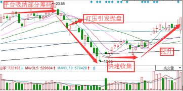 假如所有股民同时都买同一只股票，那么按供求原理，股价会垂直上升。然后第二天同时卖出。那不是都赚钱了？