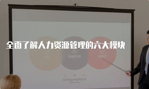 六大模块分别是什么，人力资源六大模块内容分别是什么