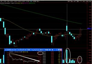 金科股份股票为什么突然从16到8元