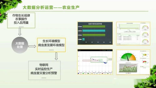 参考 数字乡村 治理体系信息化建设方案 PPT