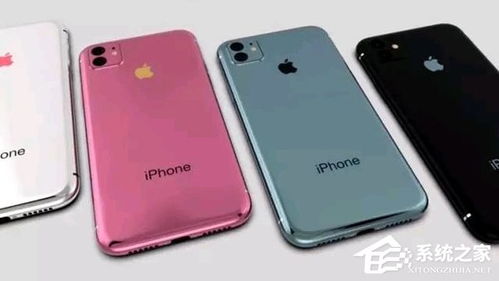 iPhone11哪个版本便宜 iPhone11美版和国行价格对比 