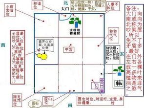 风水鱼条数(鱼条数的风水作用)