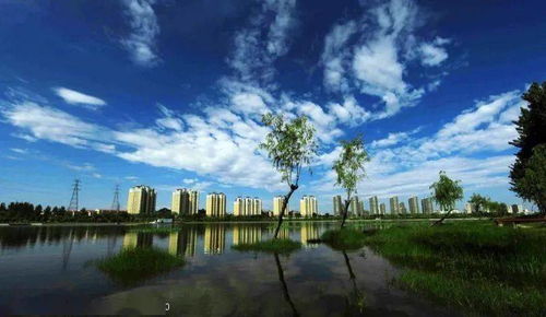 2020北京市服务业扩大开放云推介 相约天竺综保区 共筑开放新高地