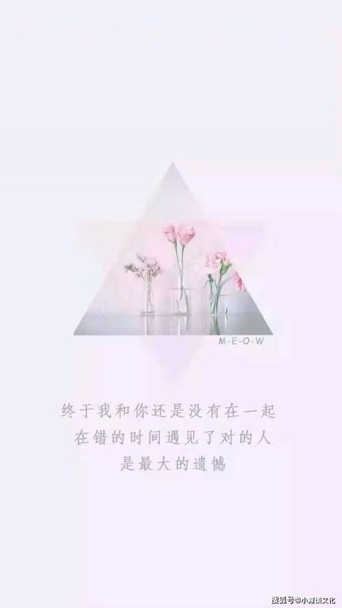 悲伤的文章：罅隙