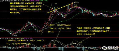 今天在云掌财经啥看新闻，股市上什么叫踏空啊？