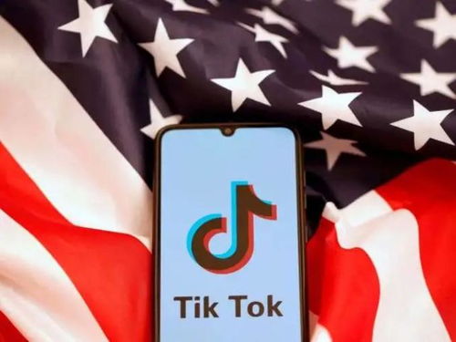美国Tiktok代运营_tiktok代理网络