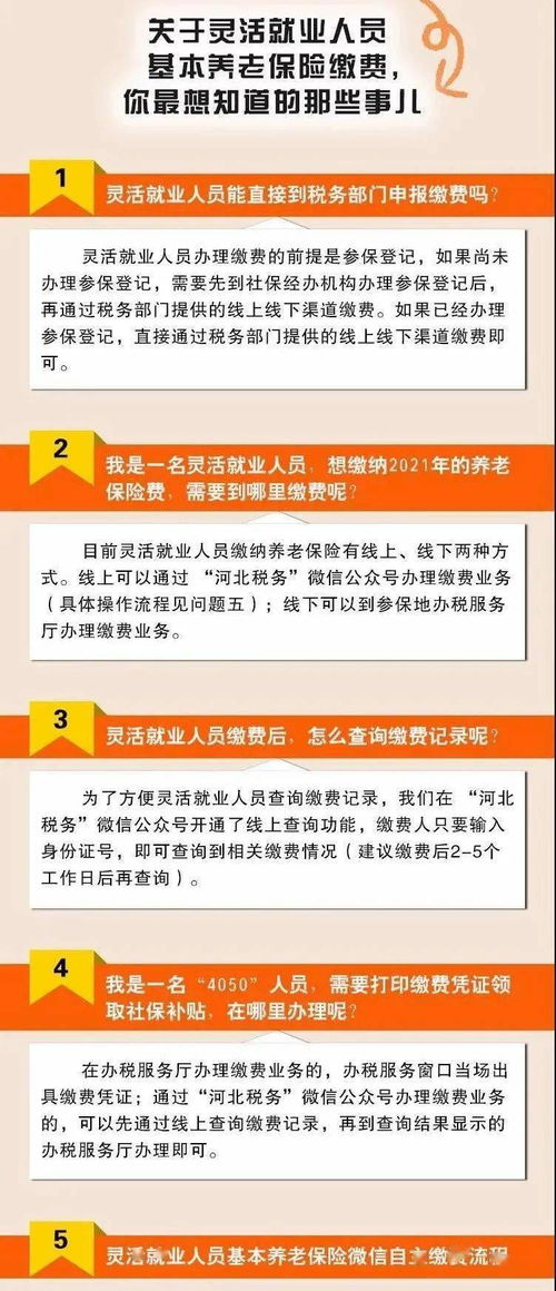 社保局交的灵活就业社保在哪里能查到(缴纳灵活就业养老保险后在哪里查)