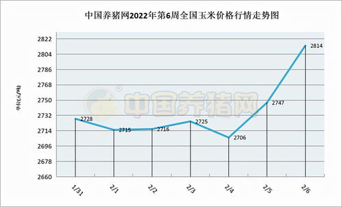 2022年玉米价格走势如何