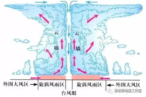 台风区有一个危险半圆,你知道它在哪里吗 附你不知道的台风冷知识