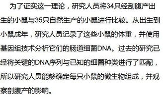 看完这篇文章,你也许更想选择自然分娩 