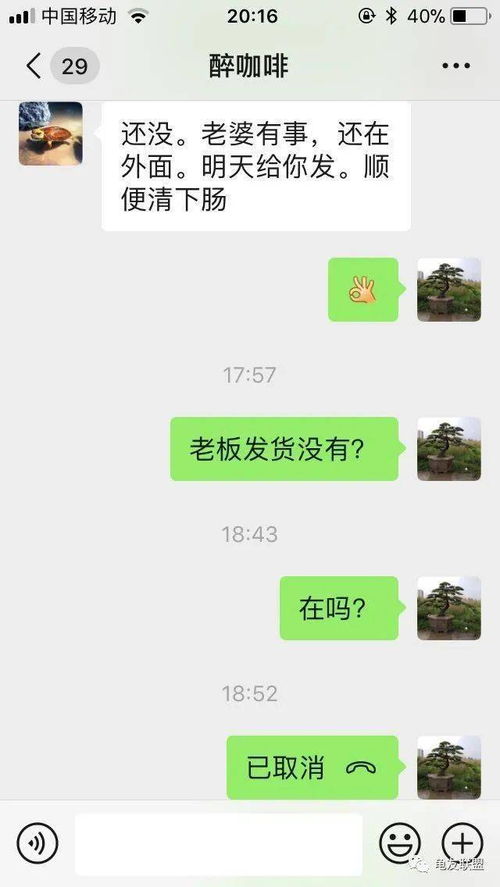 这不是借你这就是骗