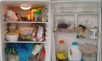小心病从口入 Get家用冰箱清洗小方法