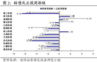 大荒转债 只适合长期持有 