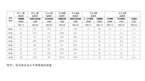 羽毛球*别排名*,羽毛球有哪些比赛级别