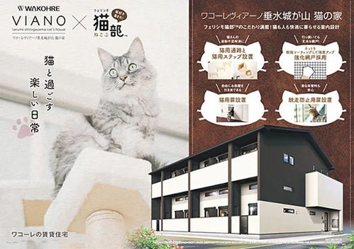 专为养猫人设计的出租公寓,一经推出,直接被租满