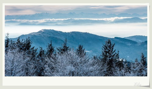 登山观雪