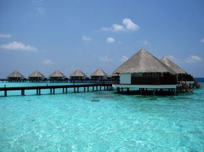 马尔代夫蜜月岛波杜希蒂浪漫度假的最佳去处