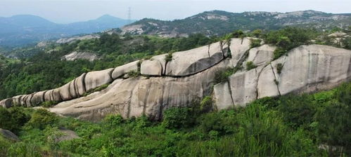 温州大罗山玩怎么走(大罗山景区停车场多少时间免费)