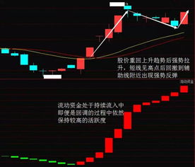 到底是不是创业板的股票