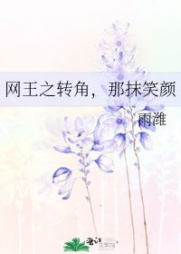 网王之转角,那抹笑颜 雨潍 