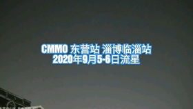 2021年2月2 3日流星 CMMO 东营流星监测站 淄博临淄流星监测站