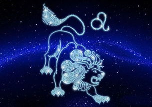 塔罗占卜2013 年狮子 座运势 rayli. 