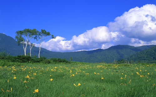 季节水墨风景 图片欣赏中心 急不急图文 Jpjww Com