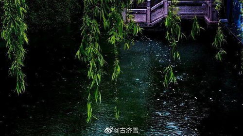 济南的春天,来了