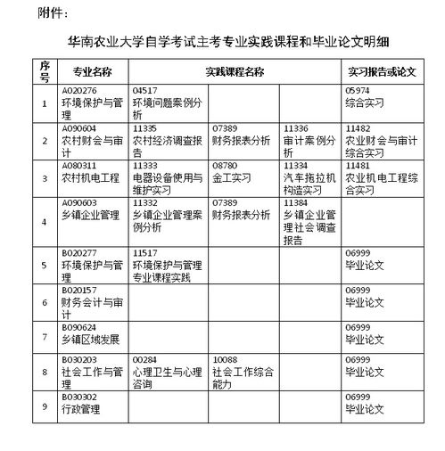 毕业论文实践基础