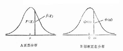 标准正态分布曲线下的面积的表横列代表什么？