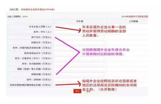 年报如何填