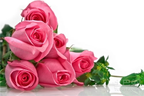 13朵玫瑰代表什么花语,1到10朵粉玫瑰各代表什么意思？