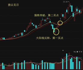 一个卖菜的故事告诉你 掌握股票交易的真谛,你将赚到怀疑人生