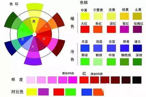 礼仪 服饰颜色搭配礼仪 